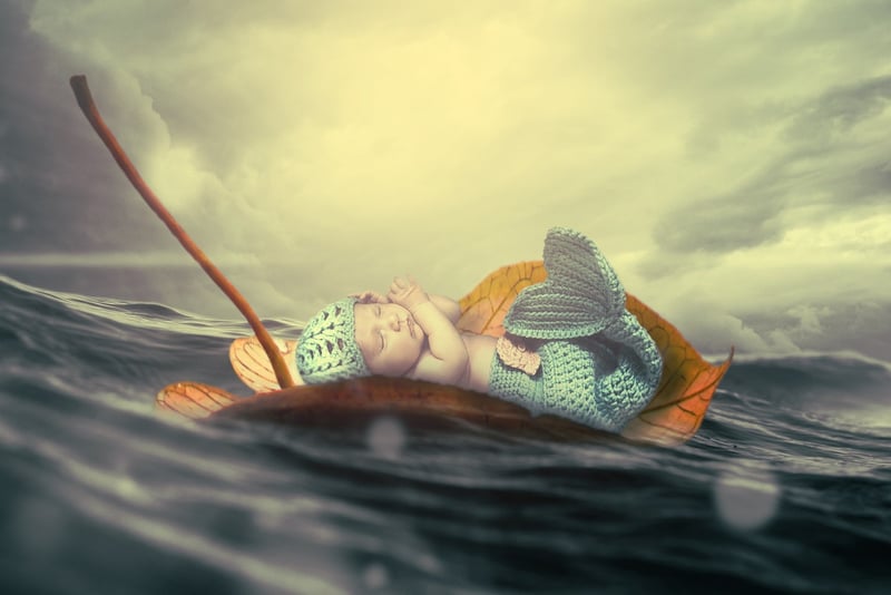 Mermaid Wonders