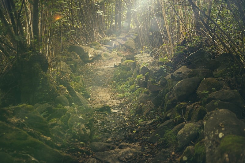 Mystical Forest Wedding Decor